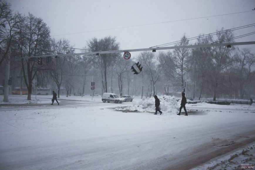 В зимнюю пору под Одессой зацвели одуванчики (ФОТО) (фото) - фото 2