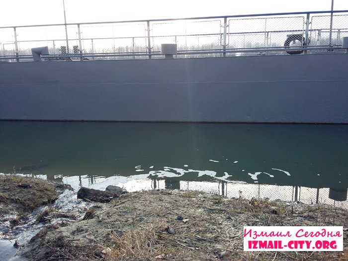 В Измаиле Одесской области канализационный сток отравляет Дунай (ФОТО, ВИДЕО) (фото) - фото 1