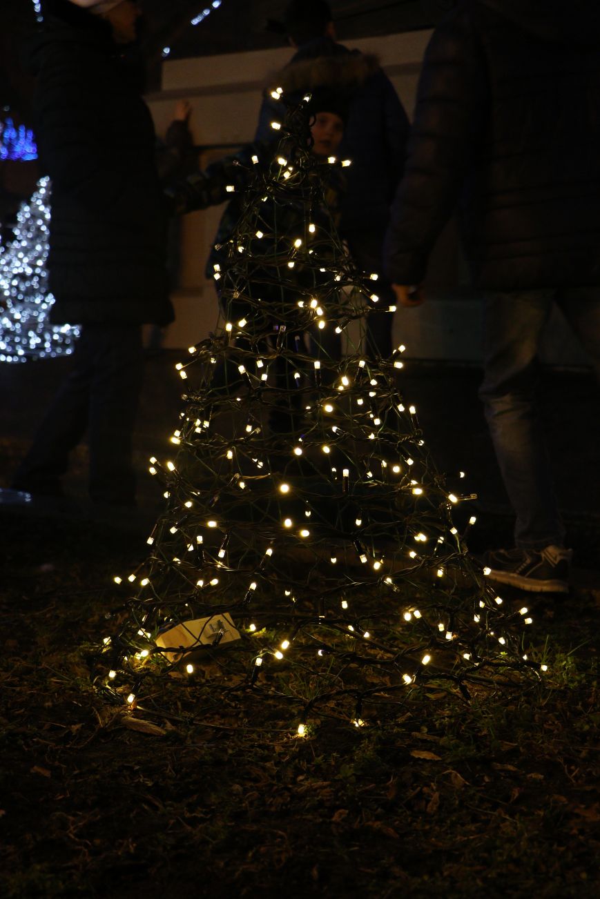 В центре Одессы появилась невидимая елка (ФОТО) (фото) - фото 1