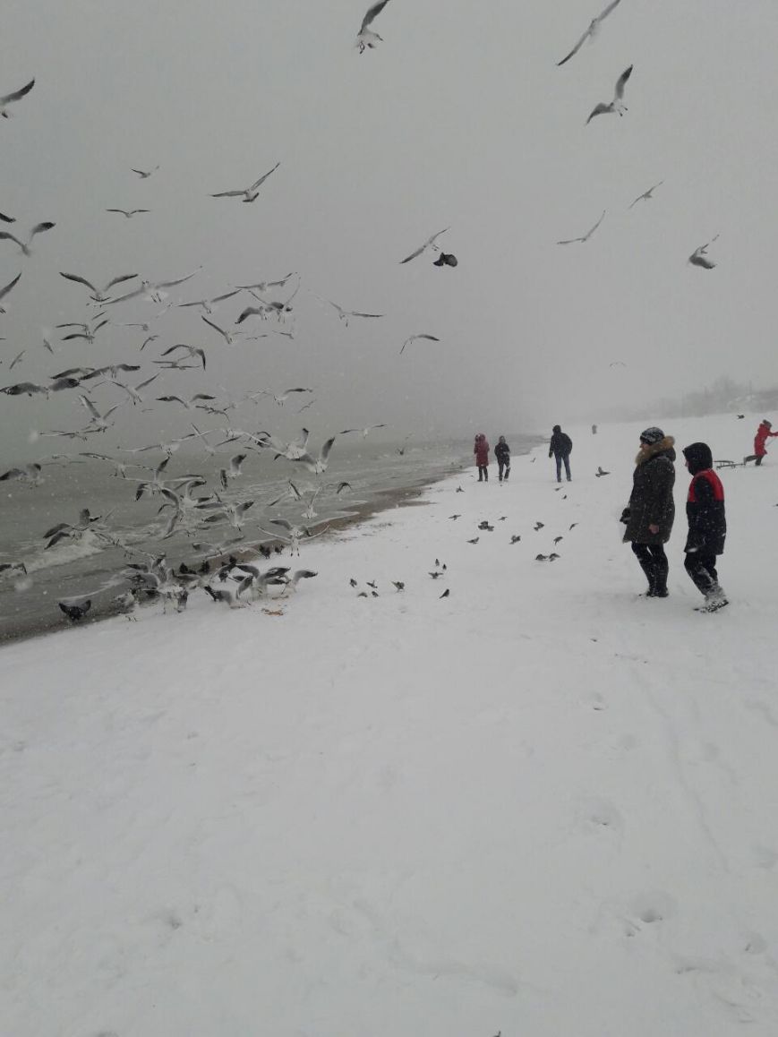 Одесское  море в снегопад (фото) (фото) - фото 1