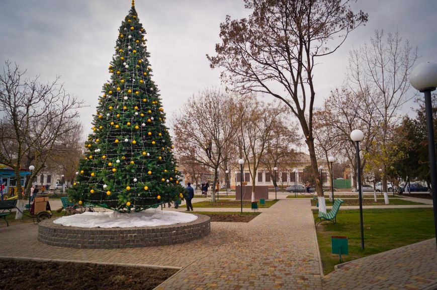 В Одесской области горожане обчистили новогоднюю елку (ФОТО) (фото) - фото 1