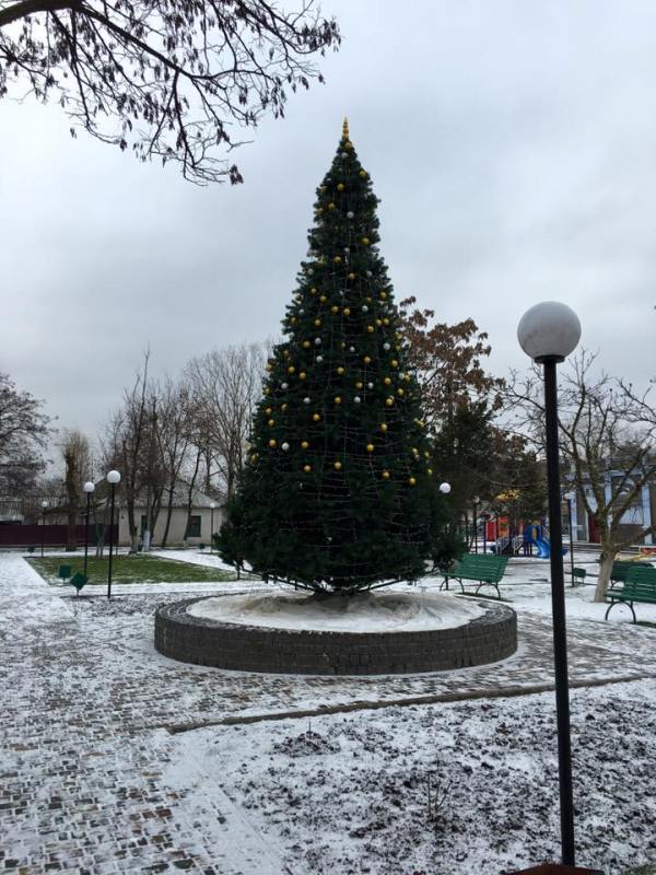 В Одесской области горожане обчистили новогоднюю елку (ФОТО) (фото) - фото 2
