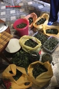 Полиция конфисковала у жителя Одессы 4 кг наркотиков: мужчина выращивал дома коноплю