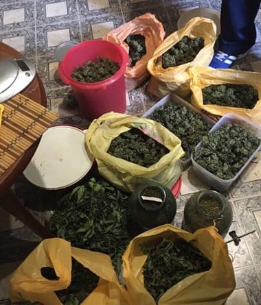 Полиция конфисковала у жителя Одессы 4 кг наркотиков: мужчина выращивал дома коноплю