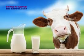 Как повысить качество молока одесским мелким фермерам