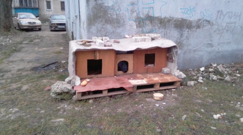 Одесситы к Новому году подарили собакам трехкомнатную "квартиру"