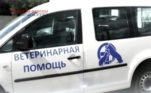 В Одессе скорая помощь будет выезжать к животным