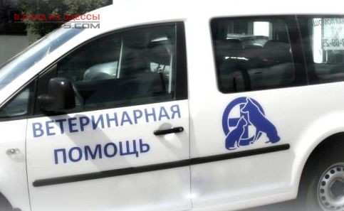 В Одессе скорая помощь будет выезжать к животным