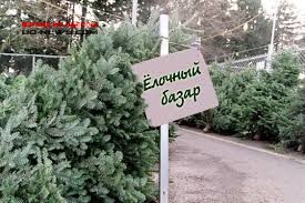 В Одессе оказались ненужными новогодние елки