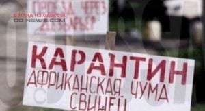 В Одесской области выявлена африканская чума