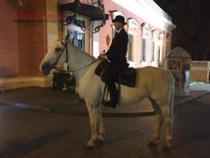 Из частной конюшни в Одессе пропала лошадь