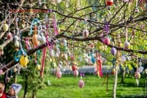 В Одессе на Пасху-2018 появится пасхальное дерево