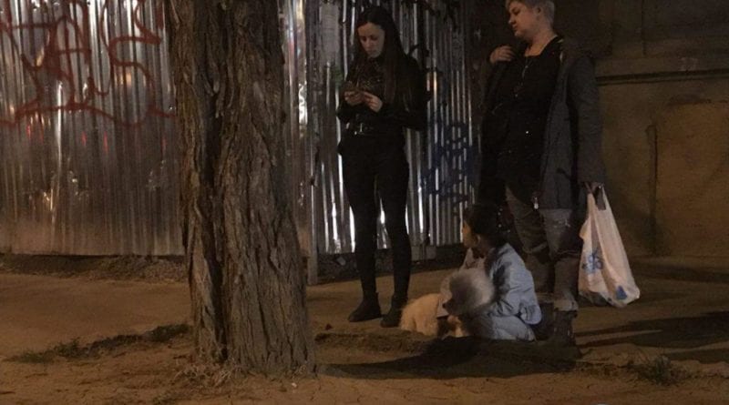 Нападение бойцовского пса в центре Одессы, пострадал ребенок