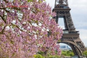 Французская весна приходит в Одессу