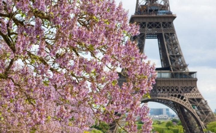 Французская весна приходит в Одессу