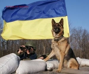 Одесская область: пограничная собака нашла «травку»