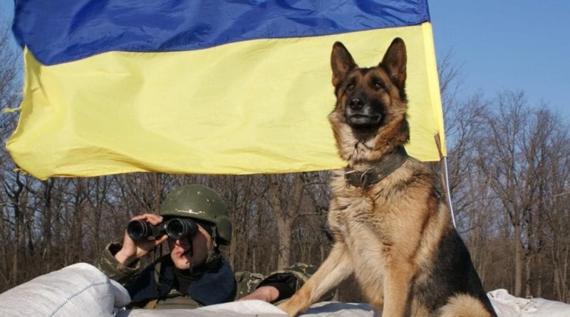 Одесская область: пограничная собака нашла «травку»