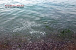 Одесситов на море подстерегает опасность