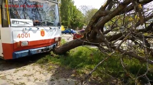 Вся правда об аварии с троллейбусом в Одессе