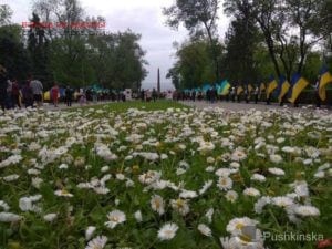 9 мая в Одессе: есть ли нарушения и какие?