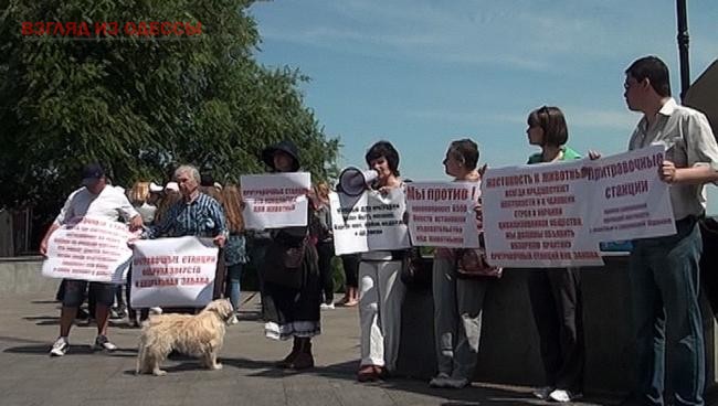 В Одессе зоозащитники вышли на акцию протеста