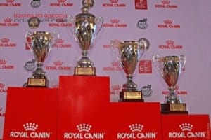 В Одессе прошла грандиозная выставка Royal Canin Cup