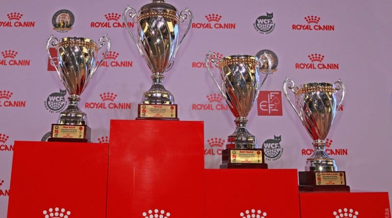 В Одессе прошла грандиозная выставка Royal Canin Cup