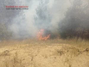 Одесская область: большую часть Измаила заполнил дым