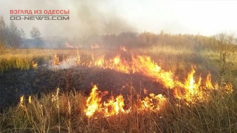 Под Одессой ведется борьба с масштабными пожарами