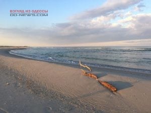 В Одесской области зафиксирована еще одна трагедия на воде