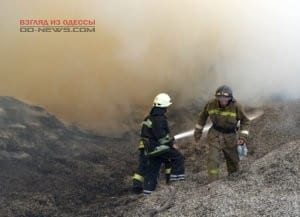 Крупный пожар на полях под Одессой