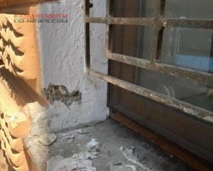 Одесса: вандалы жестоко обошлись с любимым котом Жванецкого