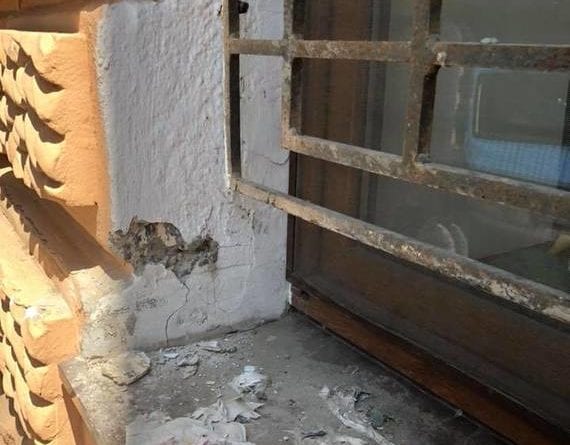 Одесса: вандалы жестоко обошлись с любимым котом Жванецкого