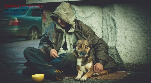 В летний период в Одессе все больше бездомных