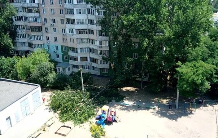 В Одессе падение деревьев не прекращается