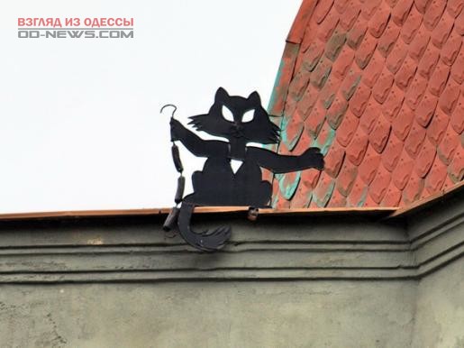 Хвостатый вор замечен на крыше Одессы