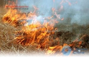 В Одесской области пожар уничтожил поле