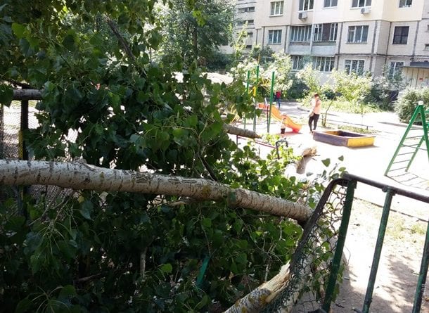 В Одессе на детскую площадку рухнуло дерево