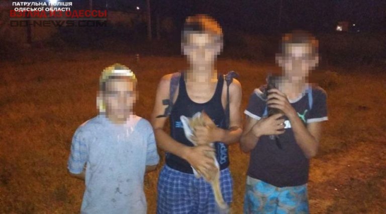В Одесской области беглецов из приюта вернули обратно
