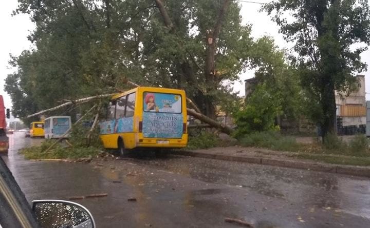 В Одессе на маршрутное такси упало дерево