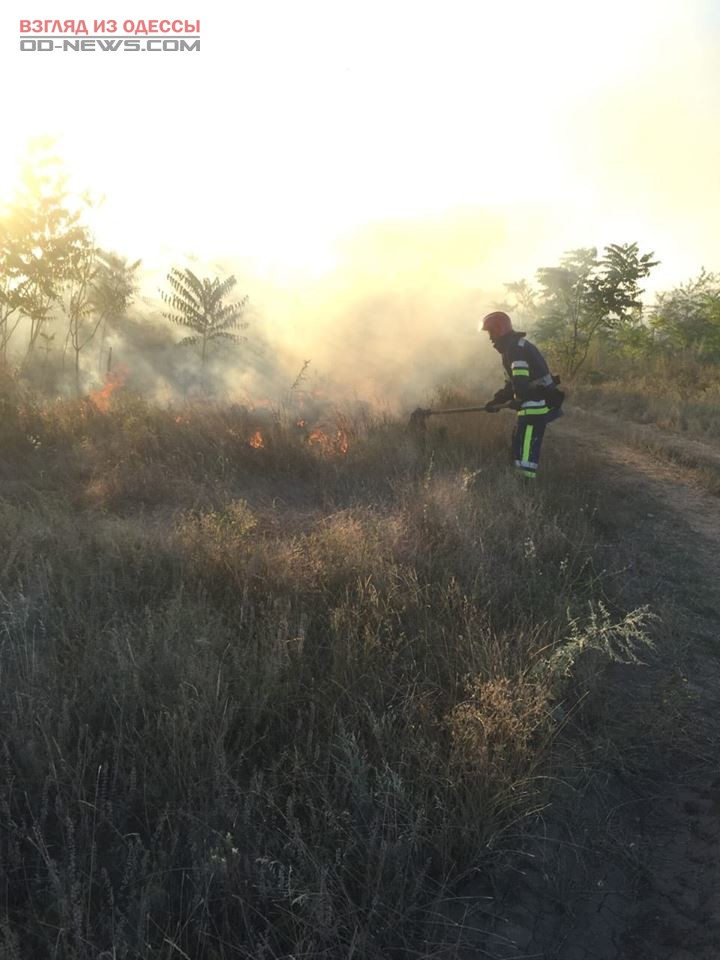 В Одессе и окрестностях отмечается высокий уровень пожароопасности