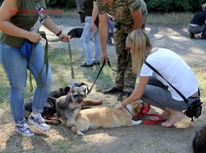 В Одессе организовали новую площадку для занятий с питомцами 