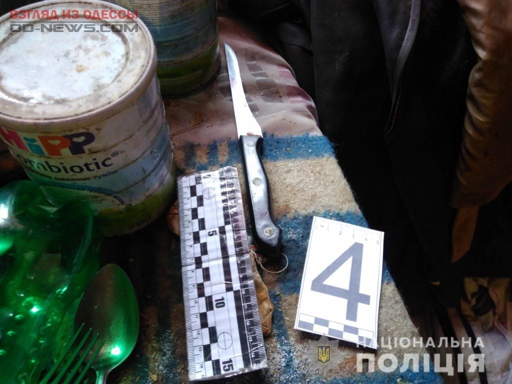 В Одесской области житель убил соседа при помощи ножа
