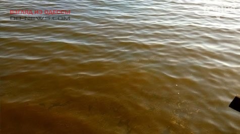 В Одессе на поверхности моря замечены масляные пятна