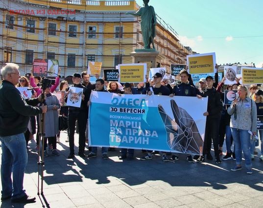 Одесситы присоединились к акции против жестокости