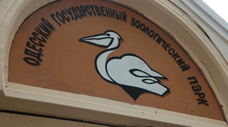 В Одессе обитатели зоопарка готовятся к зимовке