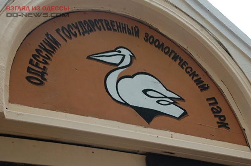 В Одессе обитатели зоопарка готовятся к зимовке