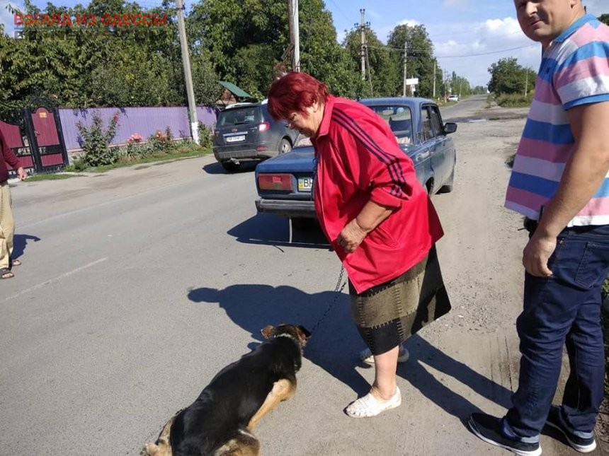 Одессит замечен в диком акте живодерства