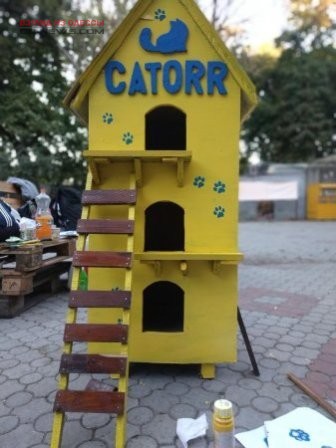 В Одессе появился кошачий домик