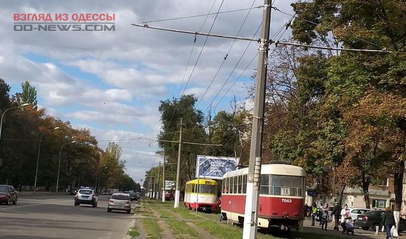 Упавшая в Одессе ветка из-за шквального ветра остановила трамвай